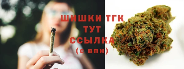 винт Аркадак
