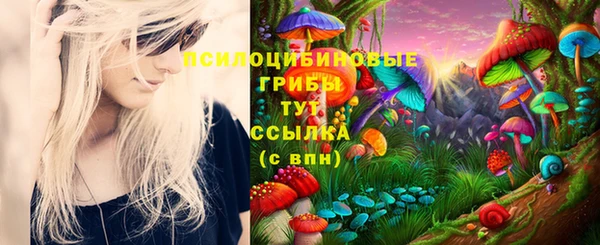 дурь Арсеньев