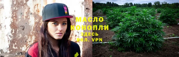 шишки Кодинск